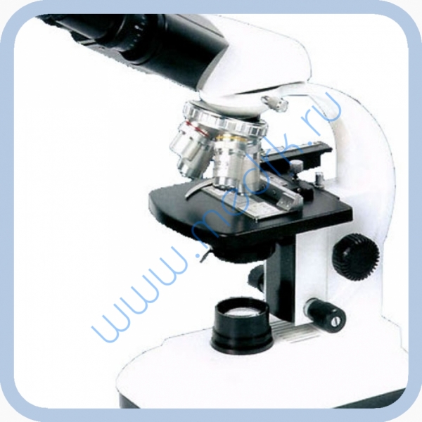 Микроскоп бинокулярный XS 80  Вид 1