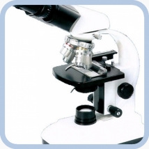 Микроскоп бинокулярный XS 80