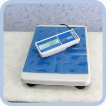 Весы медицинские электронные ВЭМ-150 (исполнение А1)
