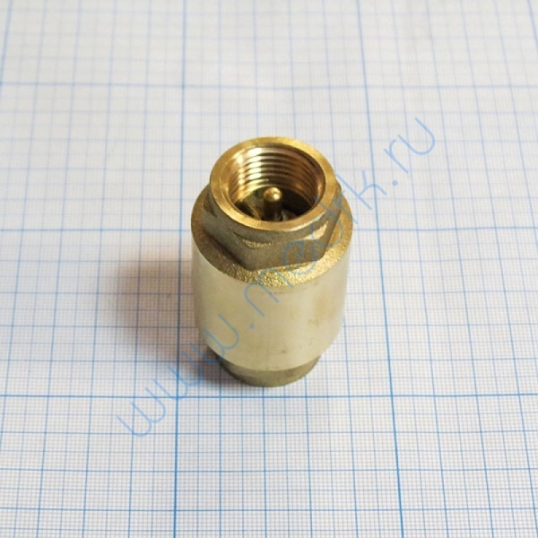 Клапан обратный 1/2″ для стерилизатора ГК-100-5  Вид 8