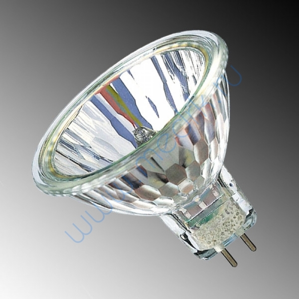 Лампа Philips 14598 Accentline 12V 35W 36 град. GU5.3  Вид 1